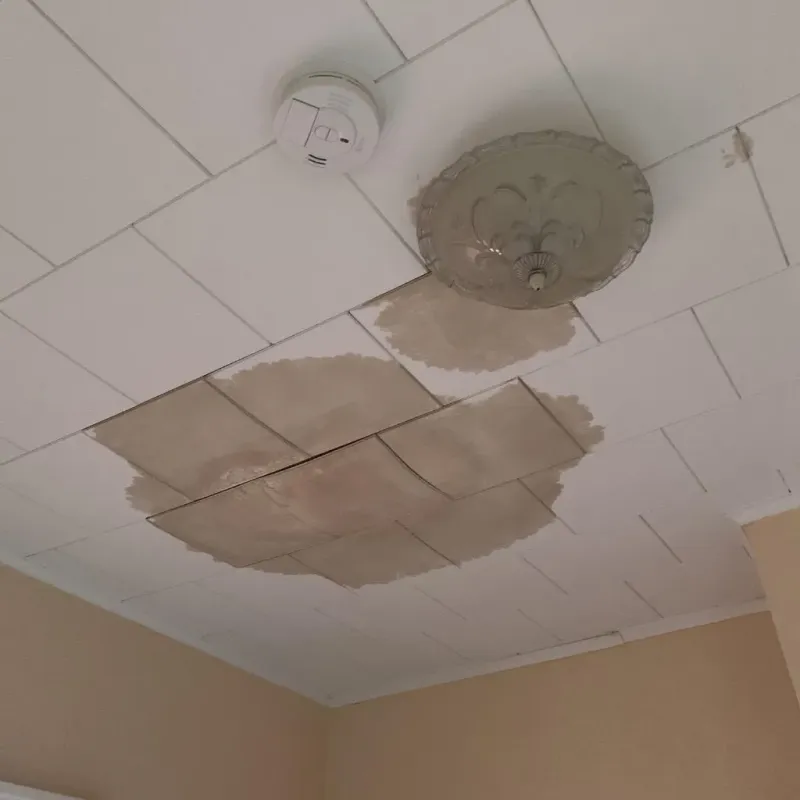 Ceiling Water Damage Repair in Hot Spring County, AR