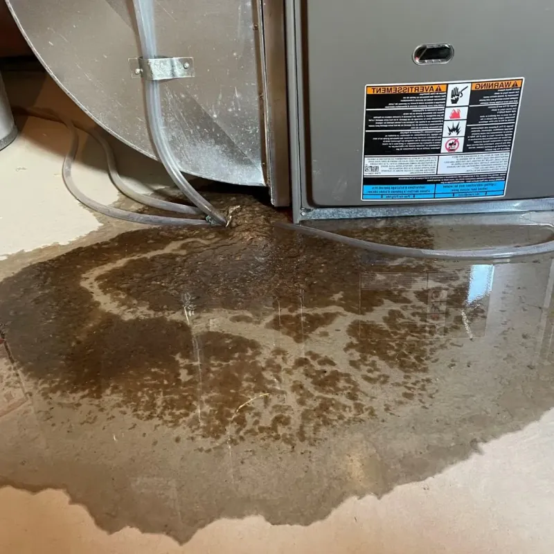 Pipe Burst and Leak Restoration in Hot Spring County, AR